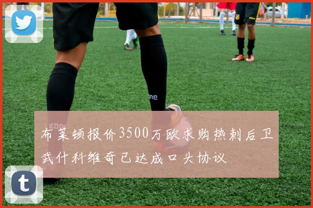 布莱顿报价3500万欧求购热刺后卫武什科维奇已达成口头协议