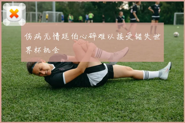 伤病无情廷伯心碎难以接受错失世界杯机会