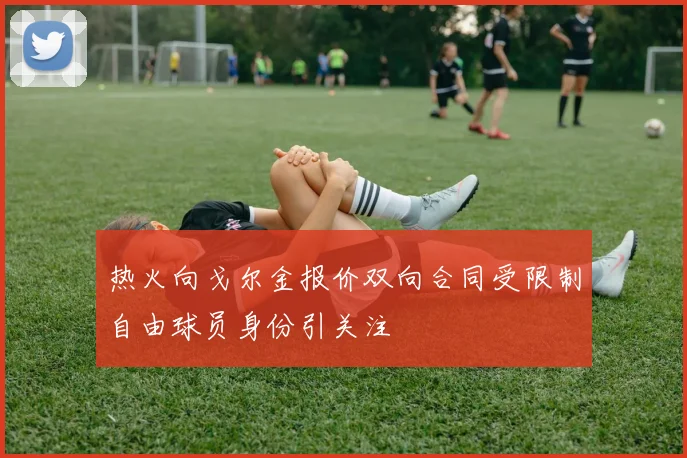 热火向戈尔金报价双向合同受限制自由球员身份引关注
